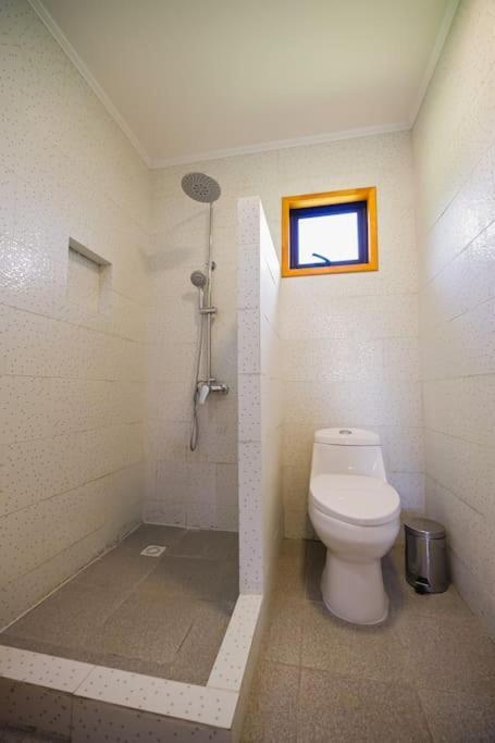 Moderna Cabana En Villarrica Kültér fotó